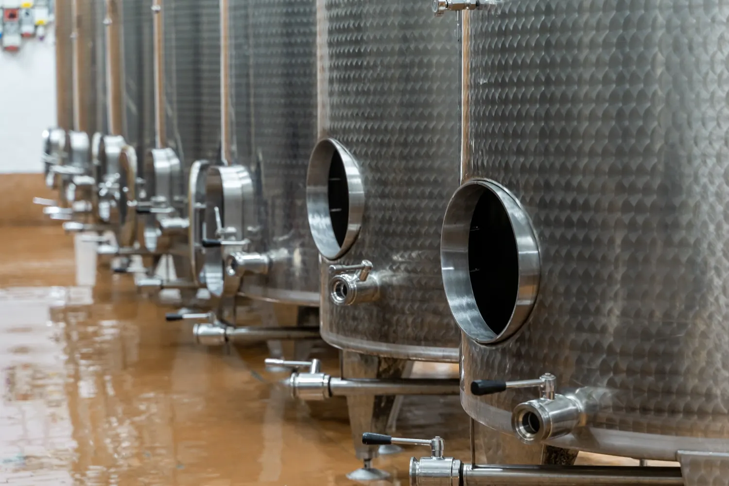 Serbatoi d'acciaio nella cantina
