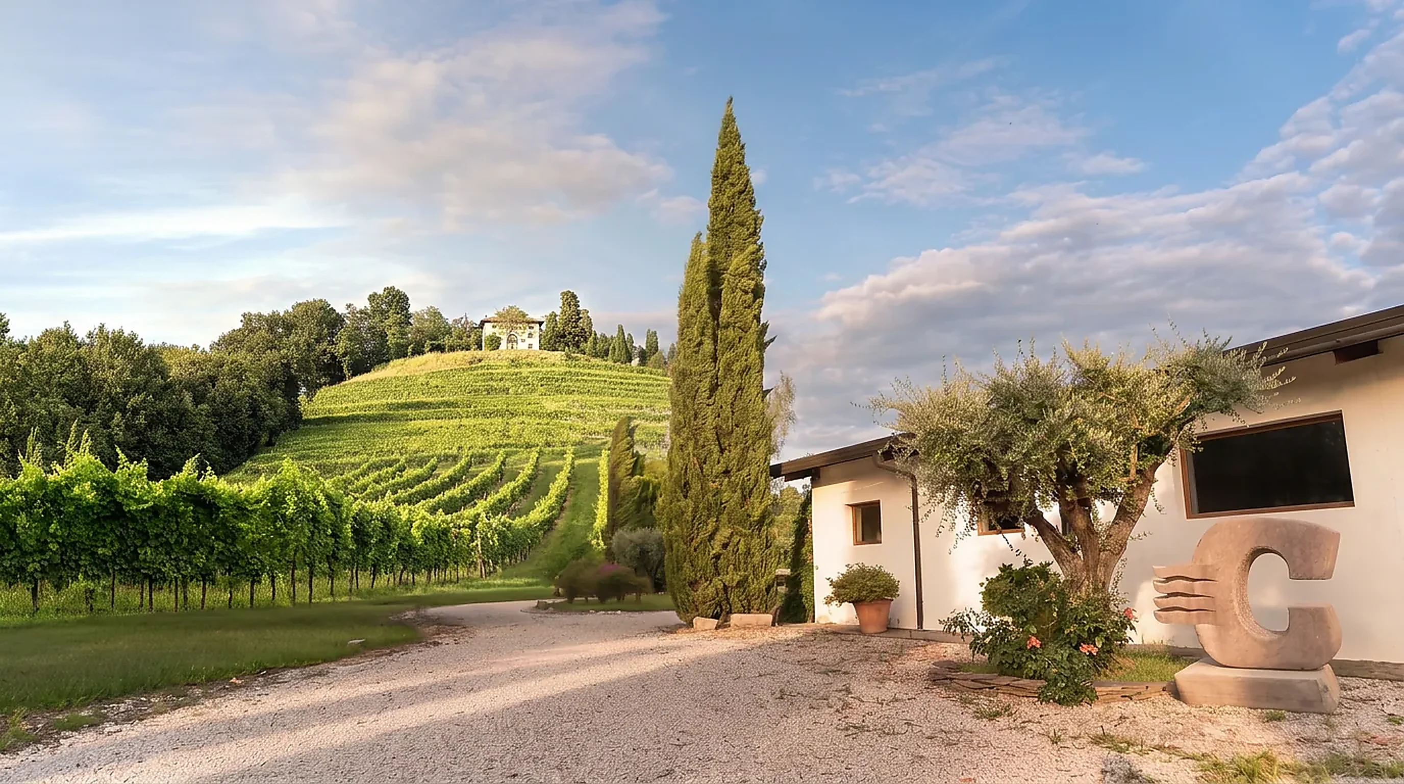 Composizione panoramica dell’ingresso della tenuta: vigneti a sinistra, cipresso al centro e scultura a forma di C a destra